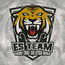 ES TEAM