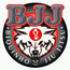 ESCOLA DE JIU-JITSU BIQUINHO BJJ
