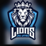 LIONS JIU JITSU