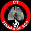 CT PULMAO DE ACO