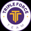 TFT - TRIPLE FORCE TEAM